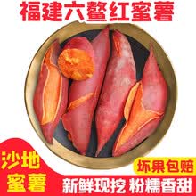 福建六鳌地瓜 沙地红心蜜薯 六鳌红薯 甜番薯 5斤
