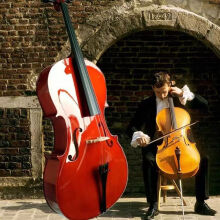 CECILIO进口高级大提琴专业演奏款成人大提琴初学者大提琴入门款专业级 4/4