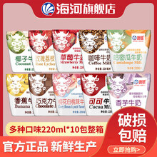 海河牛奶巧克力味整箱儿童营养早餐奶天津网红风味奶 海河牛奶巧克力味220ml*10包