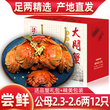 【活蟹】精选特大河蟹2.3-2.6两12只臻原生六月黄大闸蟹全公母鲜活螃蟹现货海鲜水产生鲜蟹类礼盒装