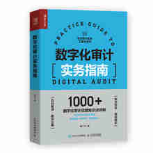 数字化审计实务指南 审计实务工具书实务指南财务会计书籍