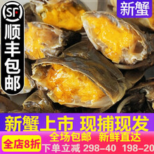 【活鲜】大闸蟹全母鲜活满黄螃蟹河蟹海鲜水产蟹类 索维奥 一元蟹50只+10只(六月黄)