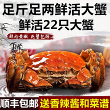 【活蟹】蟹品煌大闸蟹现货 公母蟹 大蟹 鲜活螃蟹 六月黄大闸蟹现货鲜活香辣蟹河蟹 生鲜水产礼盒装 六月黄（2.6-2.9两）12只