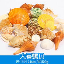 海南贝壳摆件 贝壳海星摆件装饰海螺鱼缸造景工艺品手工diy材料儿童天然饰品 套餐3__天然大号海螺贝壳_约250g
