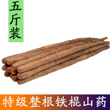 粉糯正宗铁棍山药淮山药小白嘴山药垆土铁棍多规格可选新鲜蔬菜 特级铁棍山药 五斤