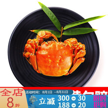 【活鲜】鲜活大闸蟹特大母蟹现货六月黄海鲜水产河蟹礼盒装3.5-1.5两 塔布莫特 尝鲜款(2.5-2.0两)8只