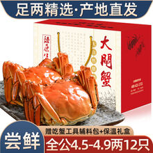 【12只装】大闸蟹全公母六月黄螃蟹镇海鲜水产生鲜批发 全公蟹：4.5-4.9两(12只)