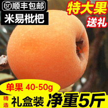 玫栀 四川米易枇杷 顺丰 石棉大五星现摘新鲜果当季水果生鲜整箱礼盒