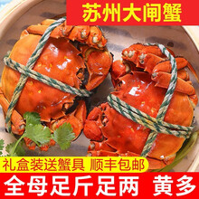 【活蟹】神行大闸蟹现货 全母蟹 大蟹 鲜活螃蟹 六月黄大闸蟹现货鲜活香辣蟹河蟹 生鲜水产礼盒装 公母蟹2.8-3.1两 8只装