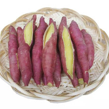 新鲜红薯 山药白薯（无丝无筋）  2021年新鲜代泥现发 精品果5斤装