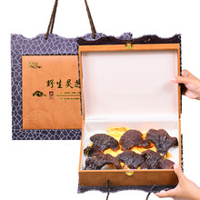 仙芝御 灵芝礼盒装 整枝 灵芝可自行打粉切灵芝片泡茶 灵芝礼盒2盒