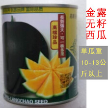 超甜无籽西瓜种子 黑皮黄皮红肉黄瓤西瓜 高糖春夏播蔬菜瓜果水果 金露无籽(黑皮黄肉)50g约750粒