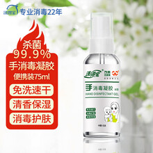 洗得宝医用免洗洗手液 手消毒凝胶（Ⅱ）型75ml 儿童学生小瓶便携装免洗消毒液