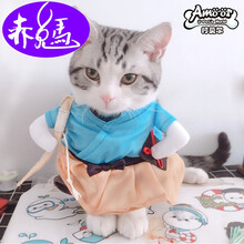 抖音同款网红猫咪衣服英短小猫蓝猫幼猫搞笑搞怪装秋冬季宠物服饰 浦岛  太郎 S
