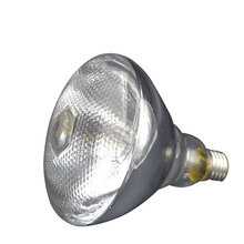 岩梦 加厚畜牧保温灯泡 防水防爆红外线仔猪灯泡 养殖取暖灯泡兽用灯泡 白色麻面250w