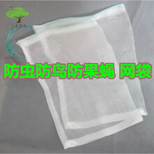 防虫网防虫袋 瓜果防果蝇防鸟袋滤网浸种 葡萄水果套袋 尼龙网袋 45*30CM