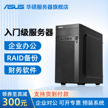 华硕塔式服务器主机小型ERP台式电脑TS100-E11 至强E-2224G 3.5G 4核4线程 32G内存/250G固态/1T硬盘*2 Raid1