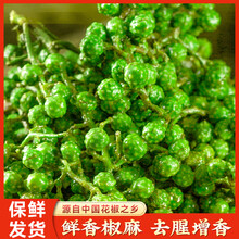 诗腾重庆江津新鲜青花椒350克 藤椒保鲜麻椒 鲜花椒 香辛料 源头直发
