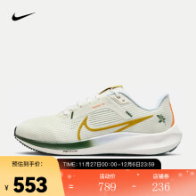 耐克（NIKE） PEGASUS 40 EK 男子公路跑步鞋 BB FV3631-081 41