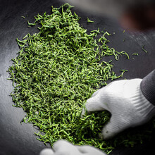 栗乡缘有机绿茶礼盒装 春茶镇安象园茶雾芽2024新茶 陕西特产 200克*1件