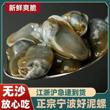 波氏风情8A醉泥螺个大无沙新鲜腌制6A黄泥螺即食罐装海鲜宁波特产 小个-龙山泥螺 210g