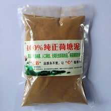 文之小睡莲根块水培植物花卉四季水养植物莲花大根茎根块碗莲种子盆栽荷花带芽发货 纯正荷塘泥 不含盆