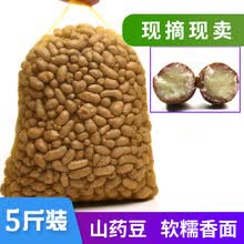 新鲜蔬菜 河北山药豆2.5kg优质山药蛋山药豆产地直发 河北山药蛋5斤装