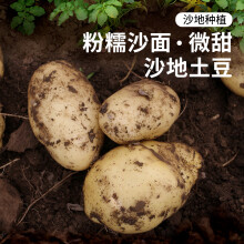 密农人家 农家土豆 今年新土豆 马铃薯 新鲜蔬菜 粉糯沙面洋芋 500g