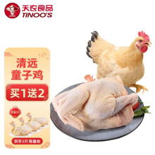 天农食品 清远童子鸡600g 冷冻新鲜鸡肉 农家散养土鸡 清蒸烤鸡生鲜食材