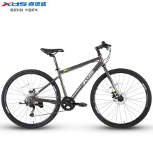 喜德盛城市公路自行车CR300休闲健身平把8速快拆式单车 银灰色700C*420