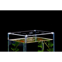 中鑫 8016水族泰国斗鱼缸超白玻璃鱼缸生态斗鱼缸桌面排缸创意斗鱼杯 标准鱼缸盖子(12*8cm)