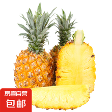 广东徐闻香水菠萝新鲜水果生鲜热带孕妇水果非凤梨整箱包邮 3个装 净重4.5-5斤 单果650g起