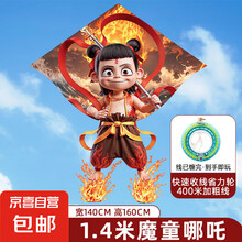 七彩凤凰风筝大人儿童户外微风易飞款潍高档轮盘潍坊网红大型风筝 蓝羽凤凰+300米水晶线轮