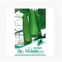 八宝葫芦娃迷你手捻葫芦种子特大葫芦食用西葫芦种子瓠子种子 食用瓠子6粒