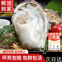 龙味福【活鲜】生蚝 乳山牡蛎 新鲜海蛎子生鲜贝类 【不好包赔】6XL带箱10斤