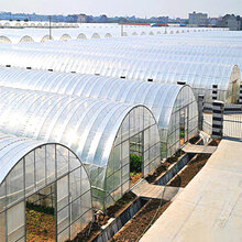 清水上苑 625/825型大棚骨架蔬菜大棚温室钢架大棚热镀锌钢管养殖多肉大棚 6*50米高配含膜