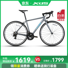 喜德盛（xds）【吴磊推荐】公路车RC200标准版14速变速深灰/镭射银 700C*510