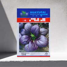 中梦蔬菜种子四季播盆栽阳台庭院香菜生菜菠菜小葱简单秋籽孑大全 紫油菜1包