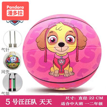 儿童篮球5号幼儿园专用3号拍拍球宝宝小皮球玩具球公主卡通 5 号 天天 送气筒