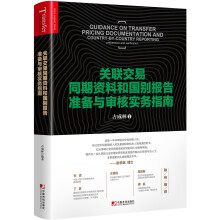 关联交易同期资料与国别报告准备与审核实务指南