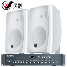 灵鹊 MS3012U壁挂音箱会议音响套装 定阻定压蓝牙功放背景音乐公共广播系统店铺商场学校教室 6050白色一拖二