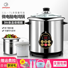 永兴DYG-25AFK电炖锅多用途锅全自动电汤锅304不锈钢智能煲汤陶瓷隔水炖盅家用大容量商用柠檬膏 90G(9升钢胆+3.5升炖盅)适合6-8人