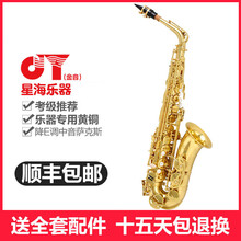 金音 萨克斯 中音萨克斯风JYAS-A650 降E调 初学专业演奏萨克斯专业舞台演奏乐队演奏乐器成人 JYAS-A650