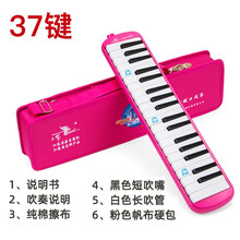 天鹅口风琴37键全乐理儿童学生初学者教学专业演奏比赛专用32键口吹琴32乐器 【37键】粉色+全套赠品