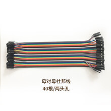 德飞莱 单芯杜邦线 20cm 40根一排 单片机开发板 母母杜邦线40根