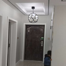 尊光 北欧家用过道灯走廊灯客厅入户餐厅灯玄关灯简约现代创意个性小鸟灯卧室通道门厅灯阳台灯具灯饰 黑色款【磨砂亚克力灯罩】白光