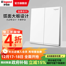 罗格朗（LEGRAND）开关插座逸景系列插座开关面板玉兰白套餐86型暗装清单报价 双开双控