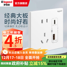 罗格朗（LEGRAND）开关插座面板 仕典系列玉兰白色86型暗装 Type A+C 充电 插座