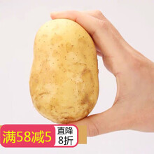 东北土豆5斤/10斤软糯小土豆农家现挖白皮黄心新鲜可口土豆马铃薯 大土豆净重10斤装(比鹅蛋大)