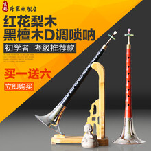 唢呐 乐器初学者成人 红花梨/木D调唢呐 送全包配件 锁呐 木D调唢呐+两包哨片+入门资料+哨片盒+指法表+光
